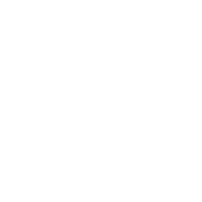 Paradisus_Logo_Mesa de trabajo 1 copia 5